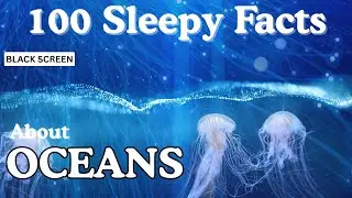 The Most Relaxing Facts About Our Oceans to Fall Asleep To