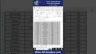 Dynamic Excel Search Box | Excel for Beginners