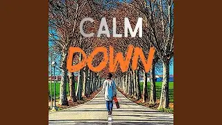 Calm Down (Lo-fi Version)