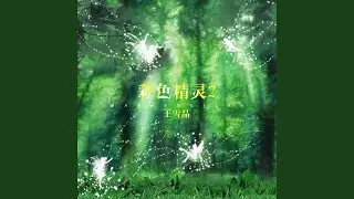 鲁冰花