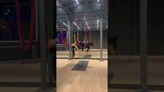 Aerial Yoga Hammock: Fun Tricks & Inversions. Take Flight in Silks!