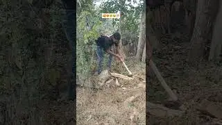 #comedy #funny #smallboymotivation #ytshorts #smallboy #shortvideo #song #joshtalks