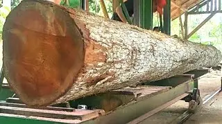 The process of turning long logs into beautiful planks for truck bed materials 