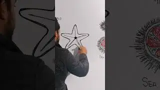 Drawing Star Fish /Sea star
