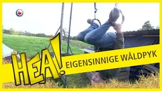 HEA! In eigensinnige W&acirc;ldpyk