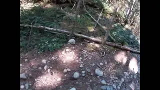 Reiter Sand Hill Trail going down