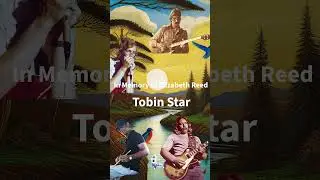 In Memory of Elizabeth Reed short A Allman Brothers cover song by Tobin Star #shorts #music