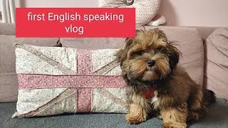 my first english speaking vlog / living in Germany