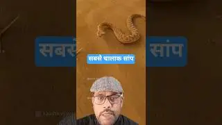सबसे चालाक सांप। Amazing facts about Spider tailed viper!!! #shorts