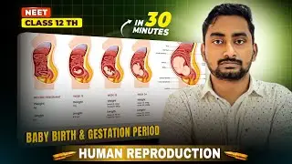 Parturition / Baby Birth & Gestation Period || Human Reproduction || প্রসব ও গর্ভাবস্তার সময়কাল 