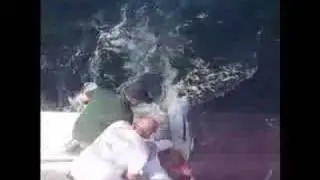 Fishing Videos  Video  Norfolk Blue Marlin
