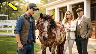EL HARAS DE LUJO LO RECHAZÓ AL CABALLO POR 