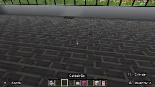 Jogando Minecrafite❤️❤️
