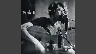 Pink Rabbits