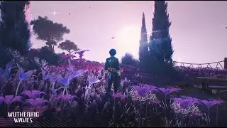 Walking with Phrolova Part 2 | Dreamcatchers in the Secret Garden Quest Ending | Wuthering Waves