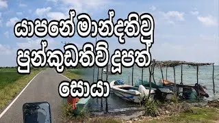 යාපනේ කොළපාට වෙලා මාරම ලස්සනයි බලන්නකො/jaffna tour mandathive punkudathive bike ride jaffna