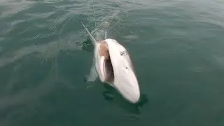 (PEK) Pesca en kayak en Mar del Sur, 29 de enero de 2026