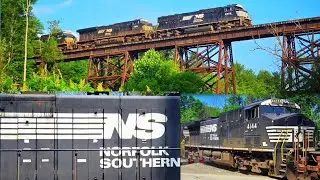 The first trains of summer 2025 and the throughbread returns !