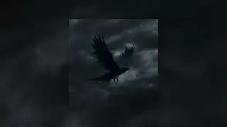 Kuba Kluza - Bluebird (Audio)