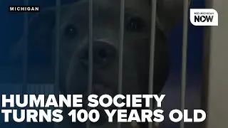 Humane Society of Genesee County marks 100 years of animal care