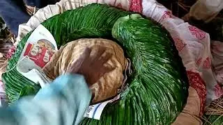 KOLKATA BETEL LEAF |📞9593156807 / 9647365286 | TOP VIP MEETHA PAAN BIDA WHOLESALE | मीठा पान होलसेल