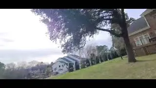 Canadian geese flying back to the Pond