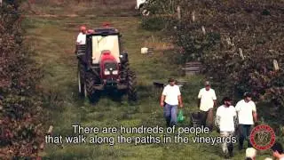 Herdade de Vale Barqueiros - Video Institucional