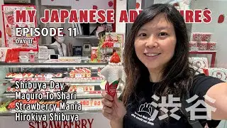 My Japanese Adventures Episode 11/Day 11: Shibuya Solo Day! Maguro To Shari, Hirokiya & Shopping!