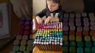 ORGANIZANDO MINHAS CANETAS TOUCH !!!