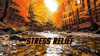 Autumn Forest River Sound 🍂 | Pure Flowing Water, No Birds | White Noise for Sleep & Stress Relief