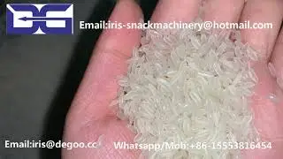 Jinan DG FRK Fortified Rice Kernel Extruder Machine/Extrusion Nutritional rice Production plant