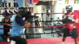 Boxing @ Worldclass Boxing Gym