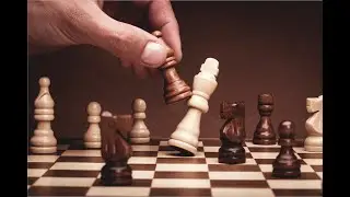 What is the Difference Between Check and Checkmate in Chess?