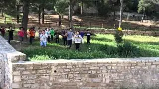 Cau al carrer 2015 - AEiG Coll de les Savines