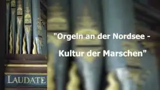 Orgeln an der Nordsee-Kultur der Marschen, jetzt auf Pellworm!