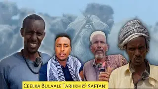 Waa kuma madaxweynaha aan kula kulmay ceelka Bulaale? Taaariikhda Ceelka Bulaale.