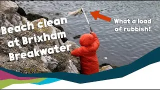 Why Are Beach Cleans Important? Protecting Coastal Habitats For Marine Conservation.