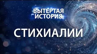 Вытертая история. Серия 11. Стихиалии