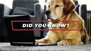 Best Mortgage Lender In Texas - AmCap Home Loans - 1 844-MYAMCAP