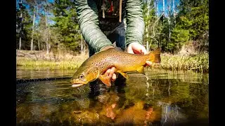 Top 3 Hendrickson Dry Fly Patterns | Fly Tying Tutorial