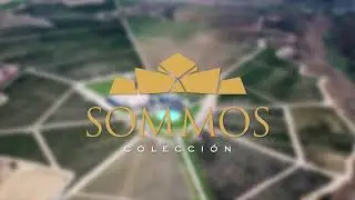 Bodega SOMMOS - Spot SOMMOS Colecci&oacute;n