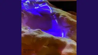 Salt