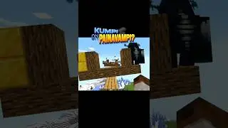 Kumpi on painavampi? (osa 8) #minecraft  #suomi