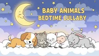 Baby Animals Bedtime Lullaby | Gentle Sleep Songs for Kids | Animagic Studio