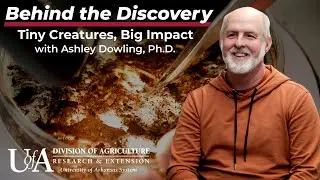 Ashley Dowling - Tiny Creatures, Big Impact | Behind the Discovery