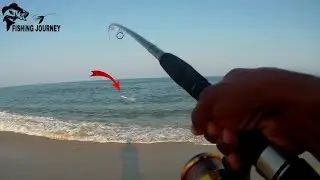 Shore Fishing Catch Barracuda