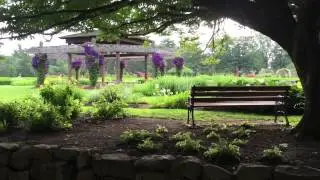 Self-Guided Tour of The Rock Gardens of Elizabeth Park