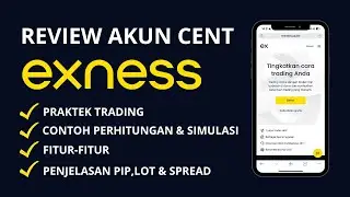 Review Akun Cent Broker Exness Secara Detail