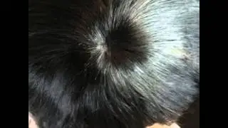 Get a protective style on a budget