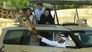 AlAin Safari | سفاري العين
